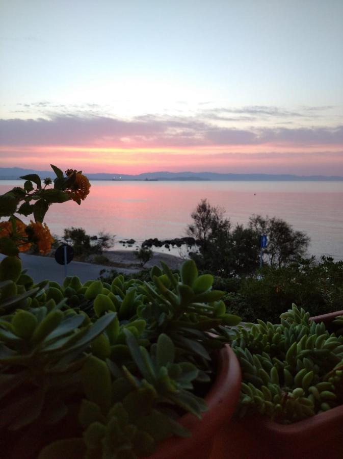 Villa Casa Bon' Aria Fronte Mare Sud Sardegna à La Maddalena  Extérieur photo
